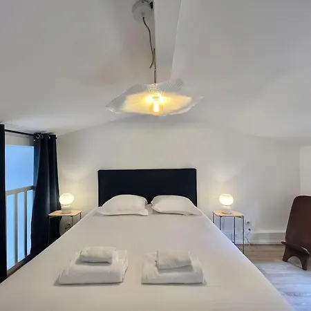 Beau Duplex Central, Proche Saint Sernin شقة