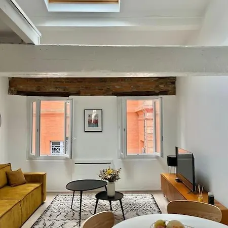 Beau Duplex Central, Proche Saint Sernin * Toulouse