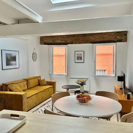 Apartmán Beau Duplex Central, Proche Saint Sernin Toulouse