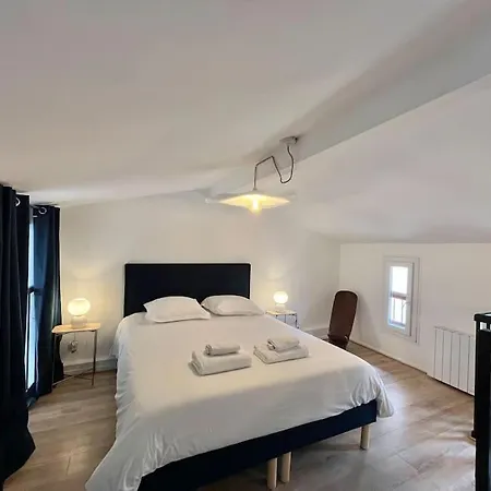 Beau Duplex Central, Proche Saint Sernin Apartment Toulouse
